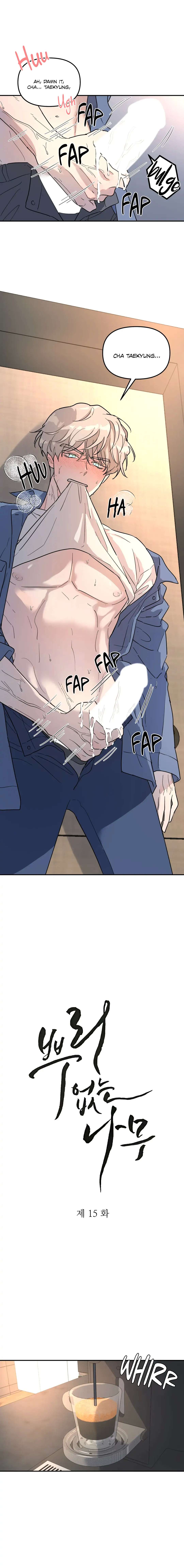 A Tree Without Roots Chapter 15