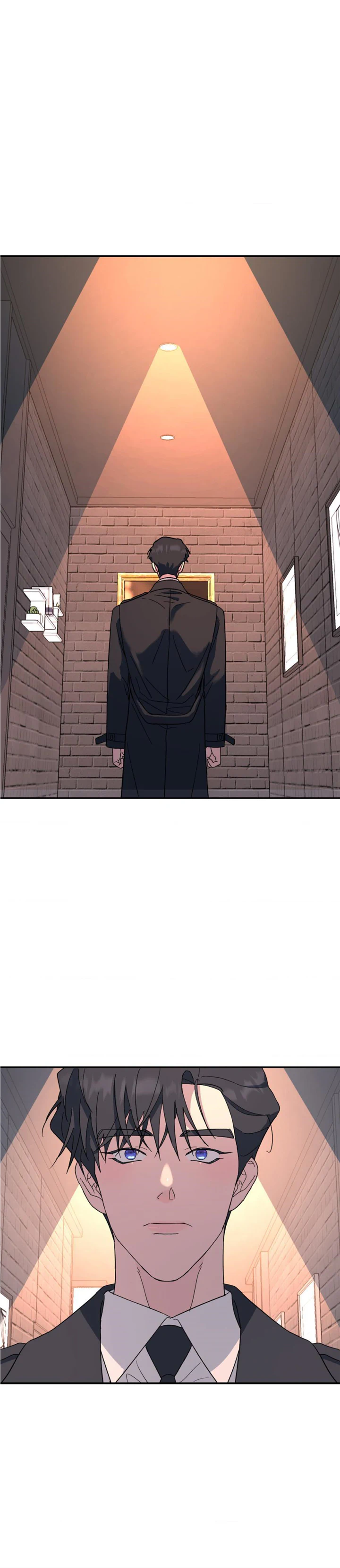 A Tree Without Roots Chapter 48